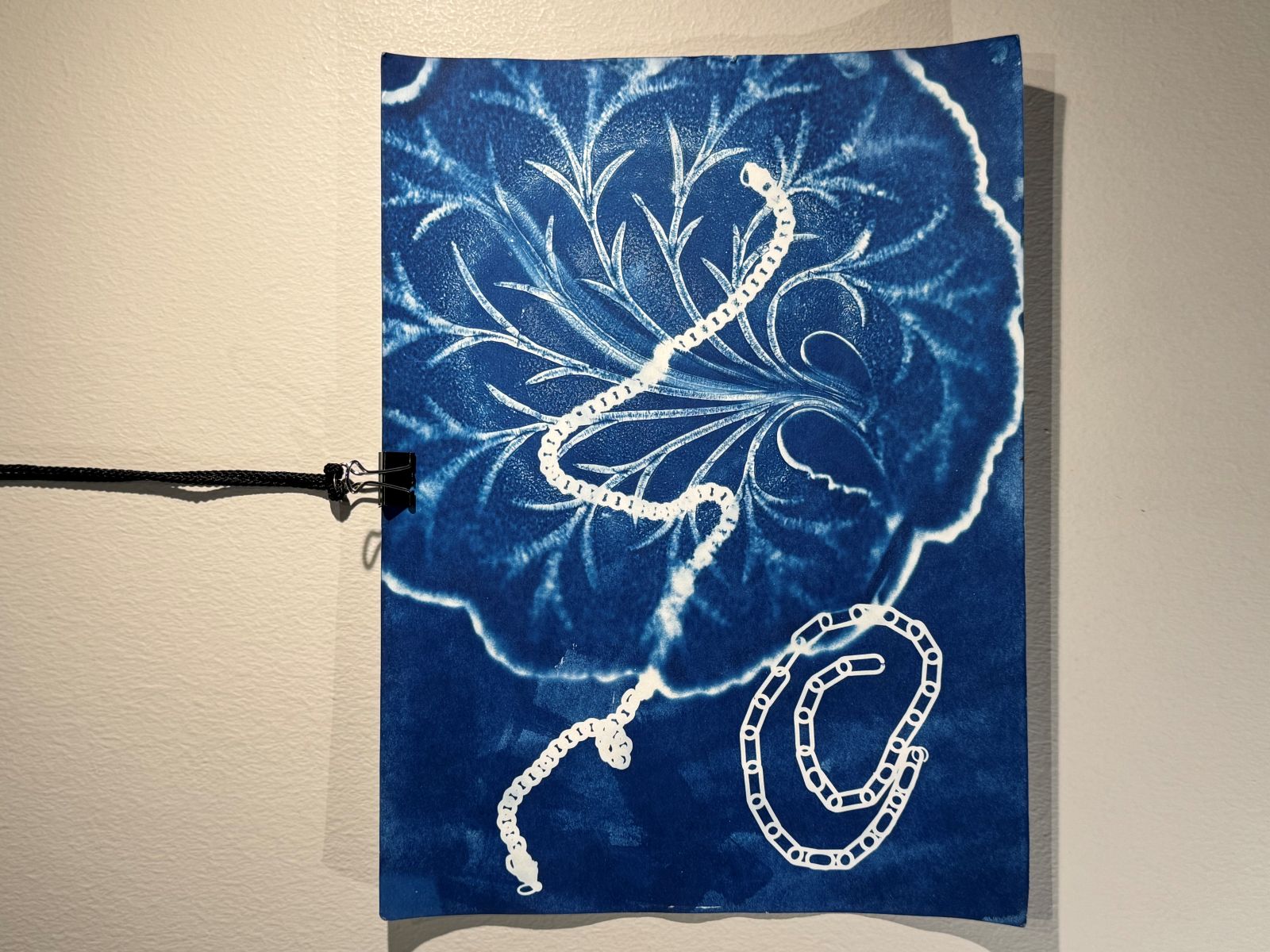 Cyanotype 2